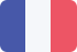 French flag